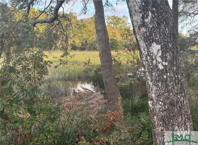 579 Turkey Trot Trl, Richmond Hill, GA 31324 - view of wooded area