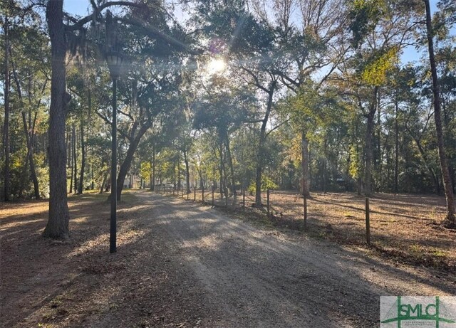 579 Turkey Trot Trl, Richmond Hill, GA 31324 - surrounding community