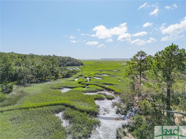 579 Turkey Trot Trl, Richmond Hill, GA 31324 - drone / aerial view