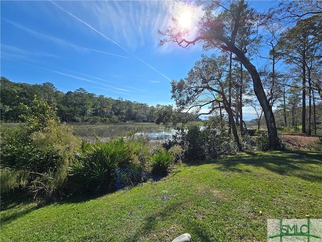 view of yard with a water view