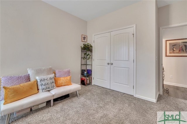 sitting room with carpet floors