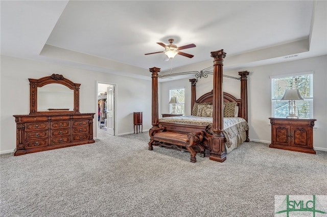 carpeted bedroom with a raised ceiling, multiple windows, ceiling fan, and a spacious closet