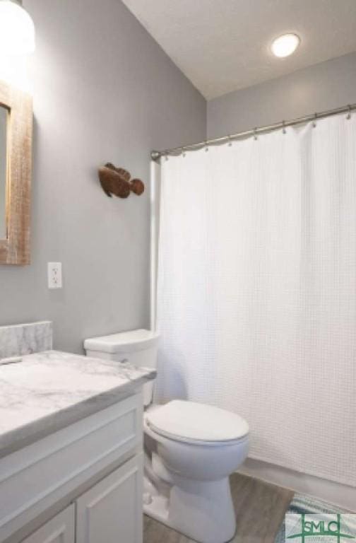 bathroom with vanity, wood finished floors, toilet, and a shower with curtain