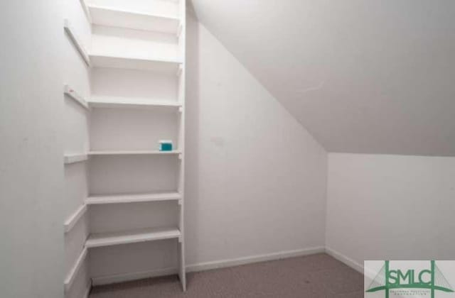 spacious closet with carpet flooring and vaulted ceiling