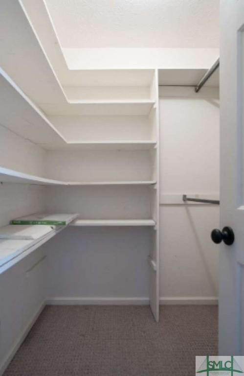spacious closet featuring carpet