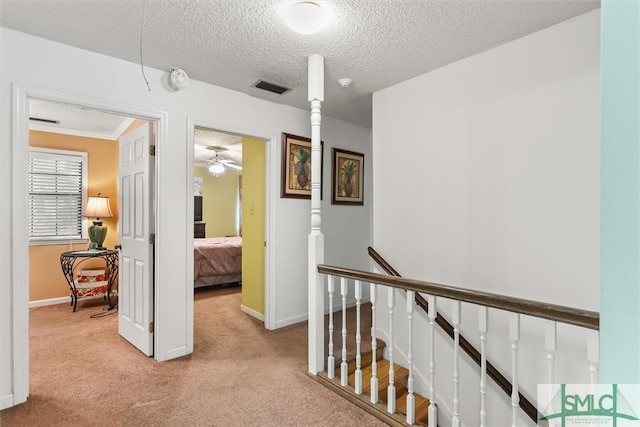 hall featuring light carpet and a textured ceiling