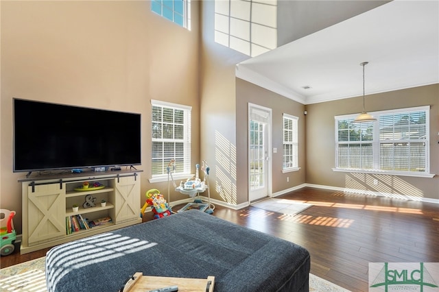 living room with ornamental molding, a high ceiling, and hardwood / wood-style flooring