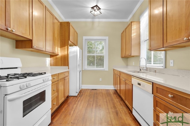 kitchen featuring plenty of natural light, light wood-type flooring, white appliances, and crown molding