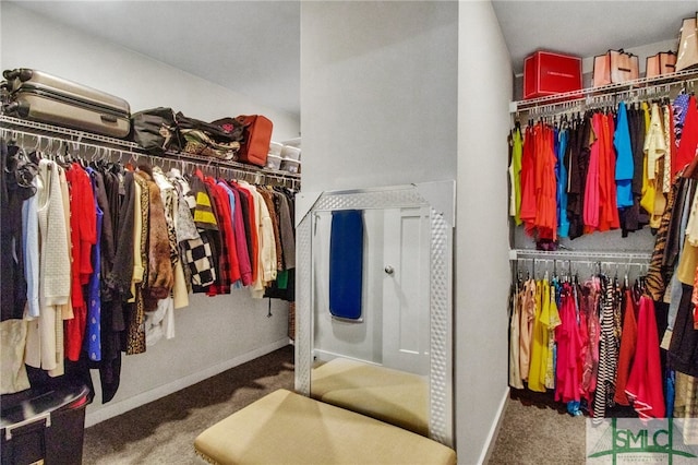 spacious closet with carpet