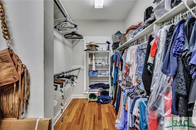 walk in closet with wood-type flooring