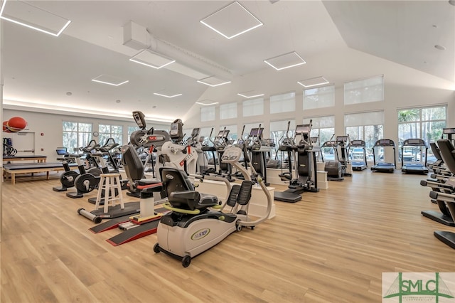 exercise room featuring light hardwood / wood-style flooring, high vaulted ceiling, and a wealth of natural light