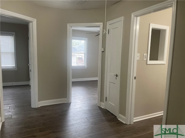 hall featuring dark wood-type flooring