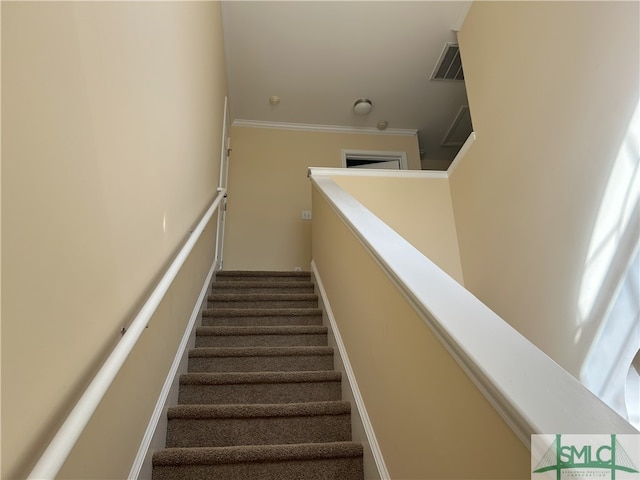 stairs with ornamental molding and carpet flooring