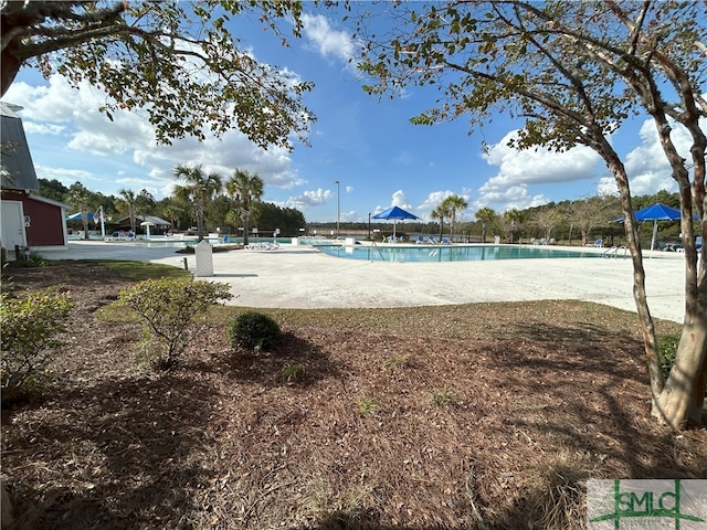 view of swimming pool