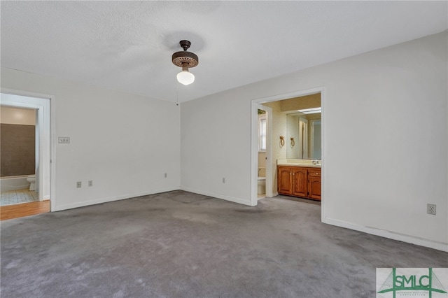 spare room with carpet floors, a textured ceiling, and sink