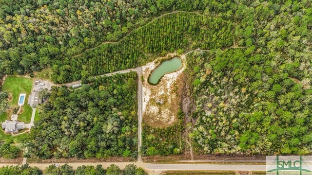 5261 Mill Branch Club Rd, Pembroke, GA 31321 - aerial overview of property's location