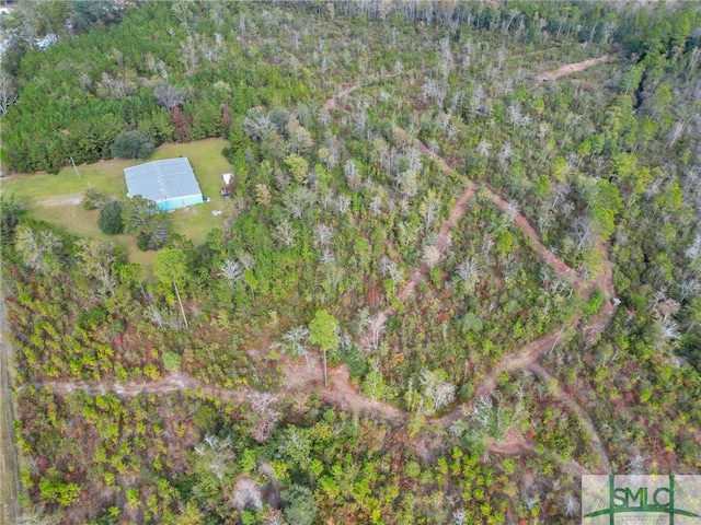 8.1ACRES Stillwell Clyo Rd, Clyo GA, 31303 land for sale