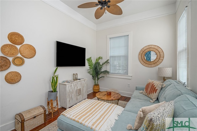 living room with hardwood / wood-style floors, ceiling fan, and ornamental molding