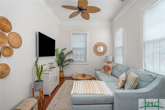 living room featuring dark hardwood / wood-style flooring, ceiling fan, and ornamental molding