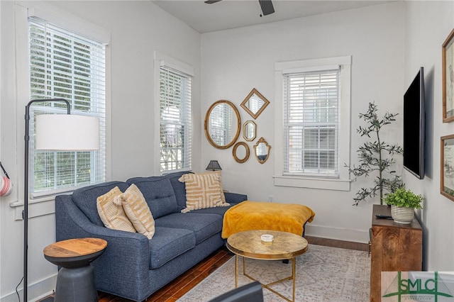 living room featuring ceiling fan and wood-type flooring