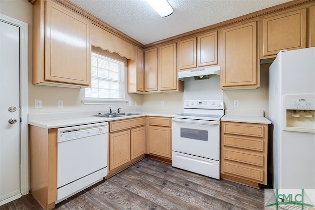 kitchen with a textured ceiling, sink, dark wood-type flooring, and white appliances