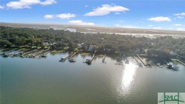 1558 Wilmington Island Rd, Savannah, GA 31410 - drone / aerial view of a large body of water