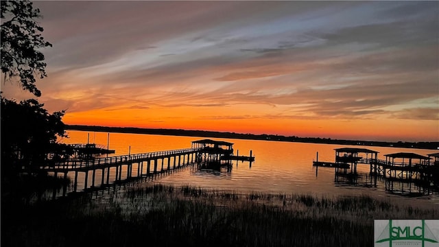 dock area with a water view