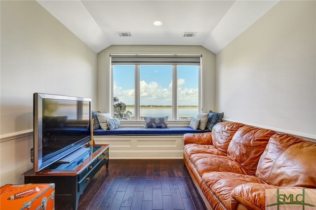 living room with dark wood-type flooring and lofted ceiling