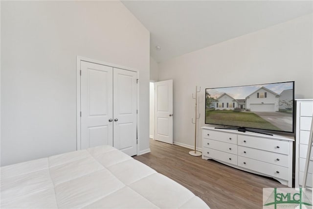 10 Henslow Fld, Savannah, GA 31419 - bedroom with wood finished floors, high vaulted ceiling, a closet, and baseboards