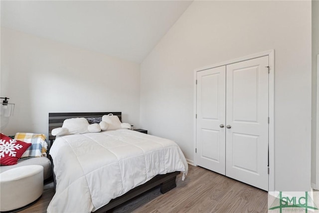 10 Henslow Fld, Savannah, GA 31419 - bedroom with wood finished floors, a closet, and high vaulted ceiling