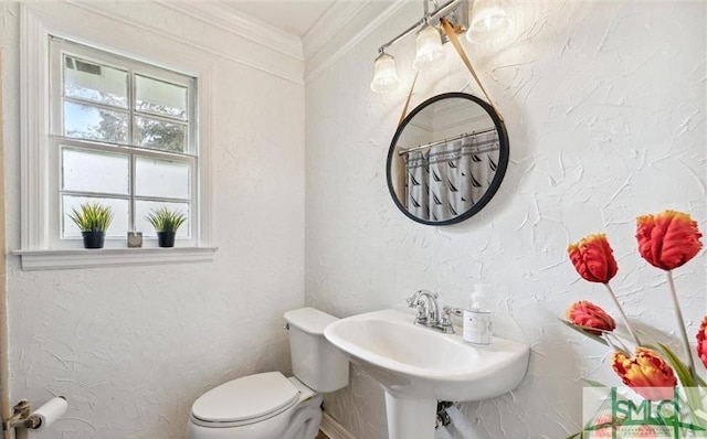 bathroom featuring toilet, ornamental molding, and sink