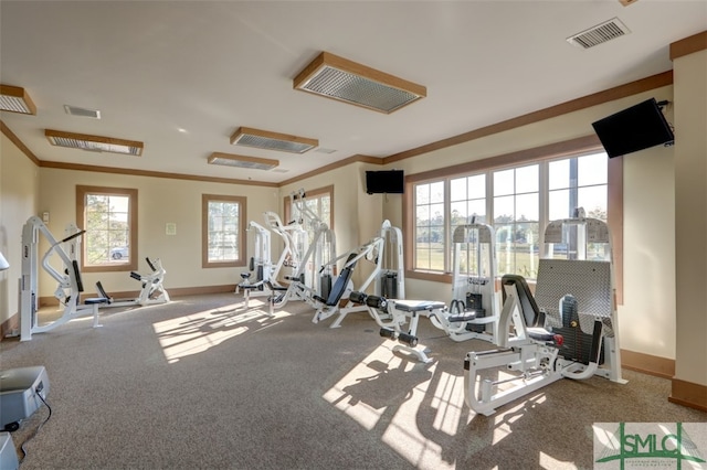 gym with carpet and crown molding