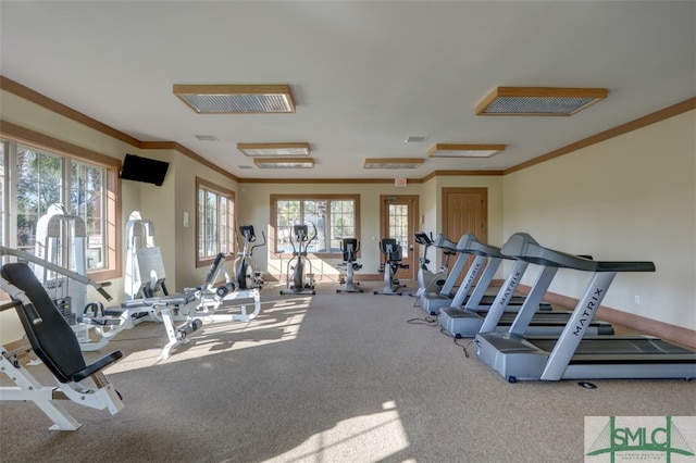 workout area featuring ornamental molding and carpet floors