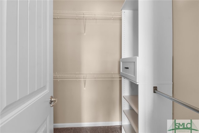 view of walk in closet