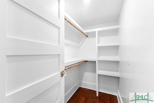 spacious closet featuring dark wood-type flooring