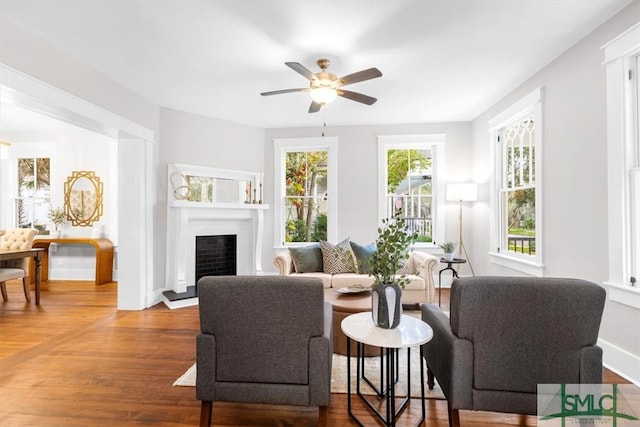 living room with ceiling fan and wood-type flooring