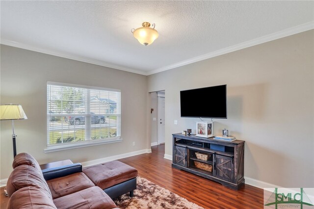 living room with dark hardwood / wood-style floors, a textured ceiling, and ornamental molding