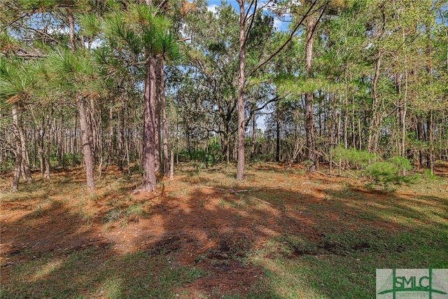 2084 Hunters Loop S, Hardeeville, SC 29927