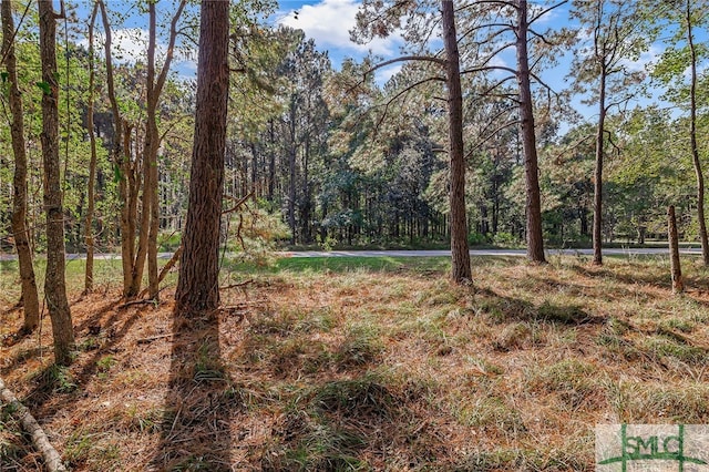 2084 Hunters Loop S, Hardeeville, SC 29927