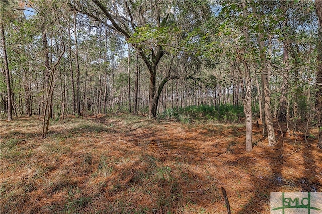 2084 Hunters Loop S, Hardeeville, SC 29927