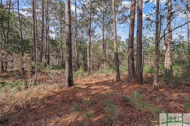 2084 Hunters Loop S, Hardeeville, SC 29927