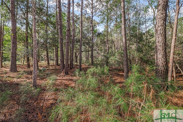 2084 Hunters Loop S, Hardeeville, SC 29927
