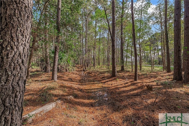 2084 Hunters Loop S, Hardeeville, SC 29927