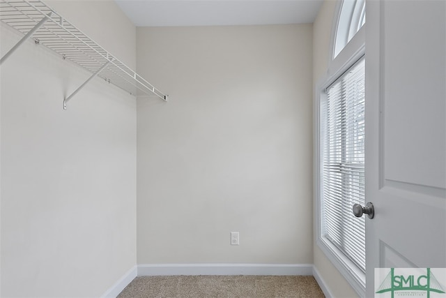 spacious closet with carpet