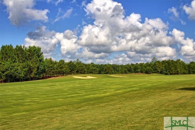 view of community featuring a lawn