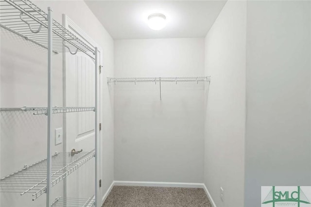 24 Pomona Cir, Savannah, GA 31419 - walk in closet with carpet