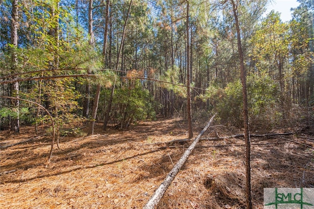 Listing photo 3 for 0 Ralph Rahn Rd, Rincon GA 31326