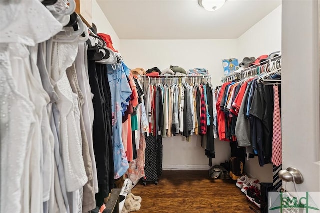 spacious closet with dark wood-type flooring