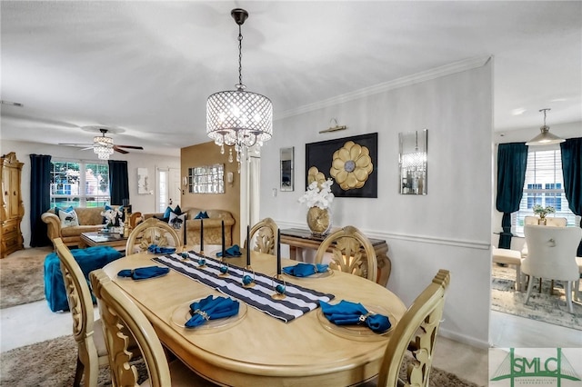 carpeted dining area with ceiling fan with notable chandelier, plenty of natural light, and crown molding