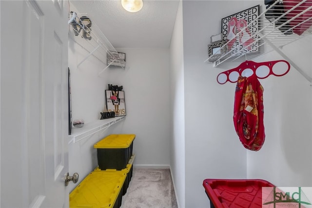 walk in closet featuring carpet floors